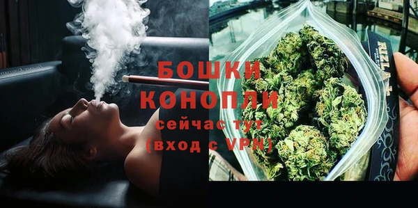 сатива Ладушкин