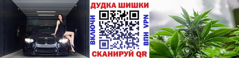 Купить где  Волжск  Конопля план 